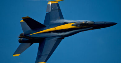 7 Reasons Why Any Business Needs Explainer Videos